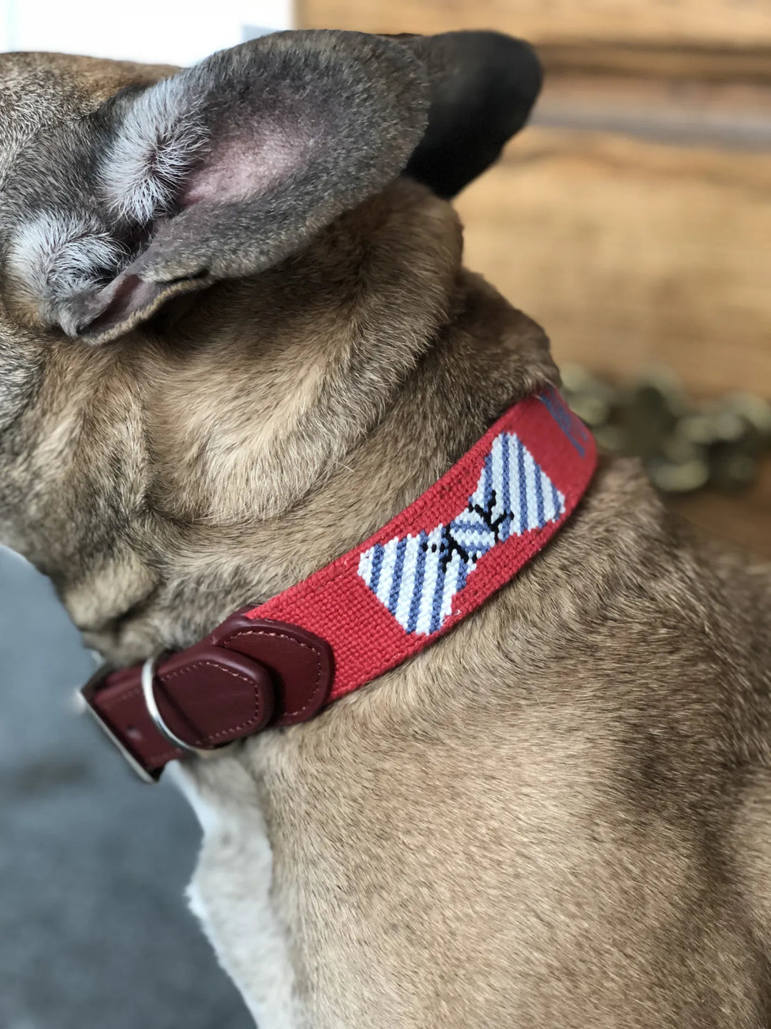 Dog Collars