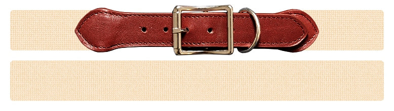 Custom Needlepoint Dog Collar