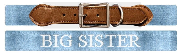 Custom Needlepoint Dog Collar