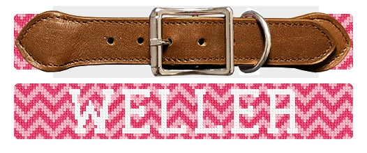 Custom Needlepoint Dog Collar