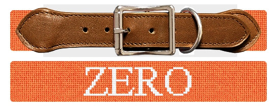 Custom Needlepoint Dog Collar