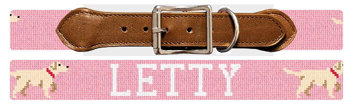 Custom Needlepoint Dog Collar