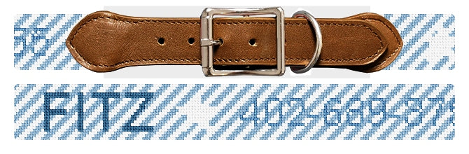 Custom Needlepoint Dog Collar