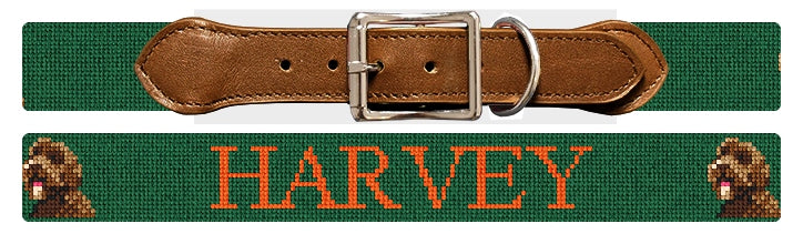 Custom Needlepoint Dog Collar