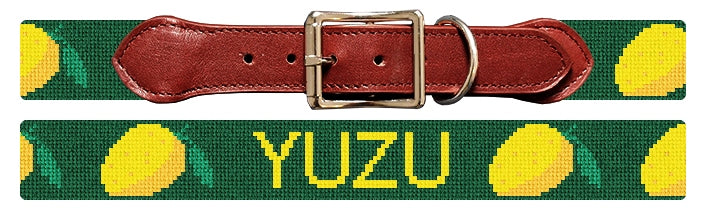Custom Needlepoint Dog Collar