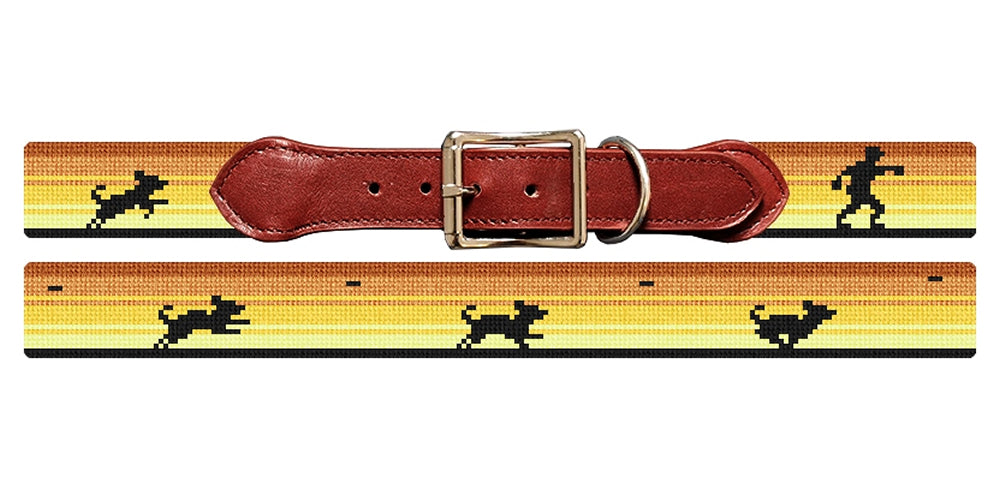 Frisbee Dog Needlepoint Dog Collar