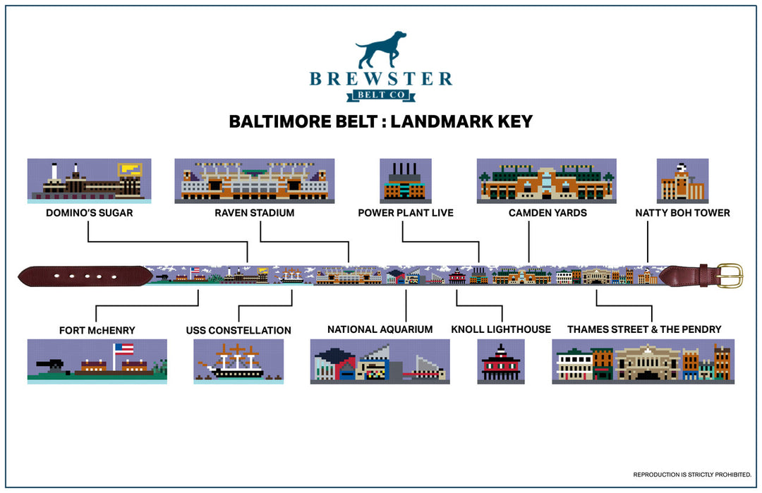 Baltimore City Landscape Needlepoint Belt