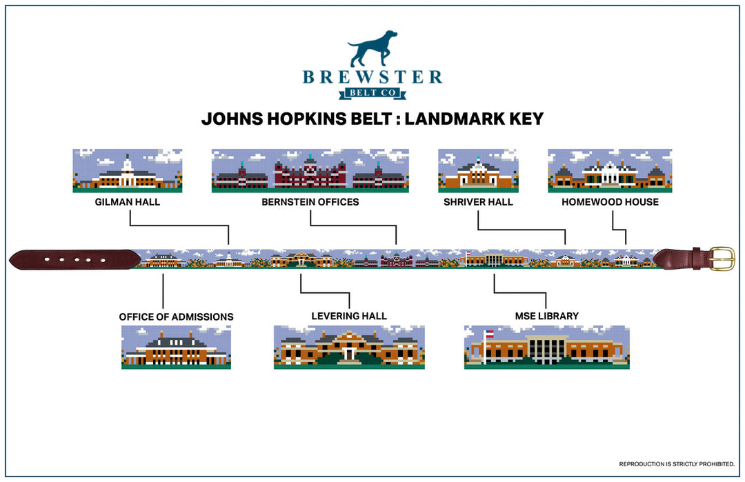 Baltimore Campus Landscape Needlepoint Belt