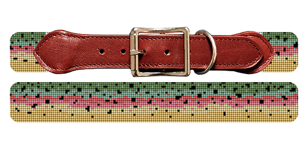 Rainbow trout dog collar new arrivals