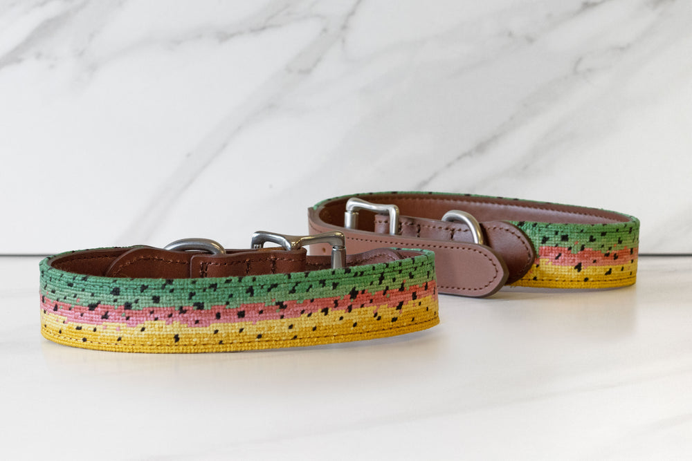 Rainbow Trout Skin Needlepoint Dog Collar 2