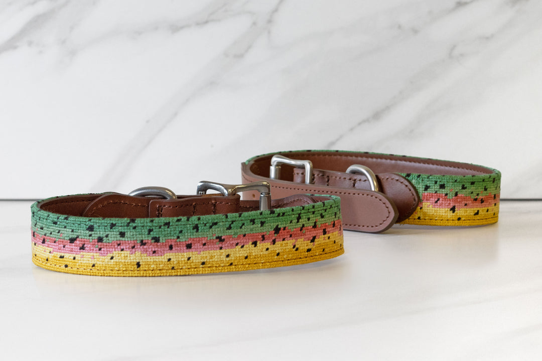 Rainbow Trout Skin Needlepoint Dog Collar 2