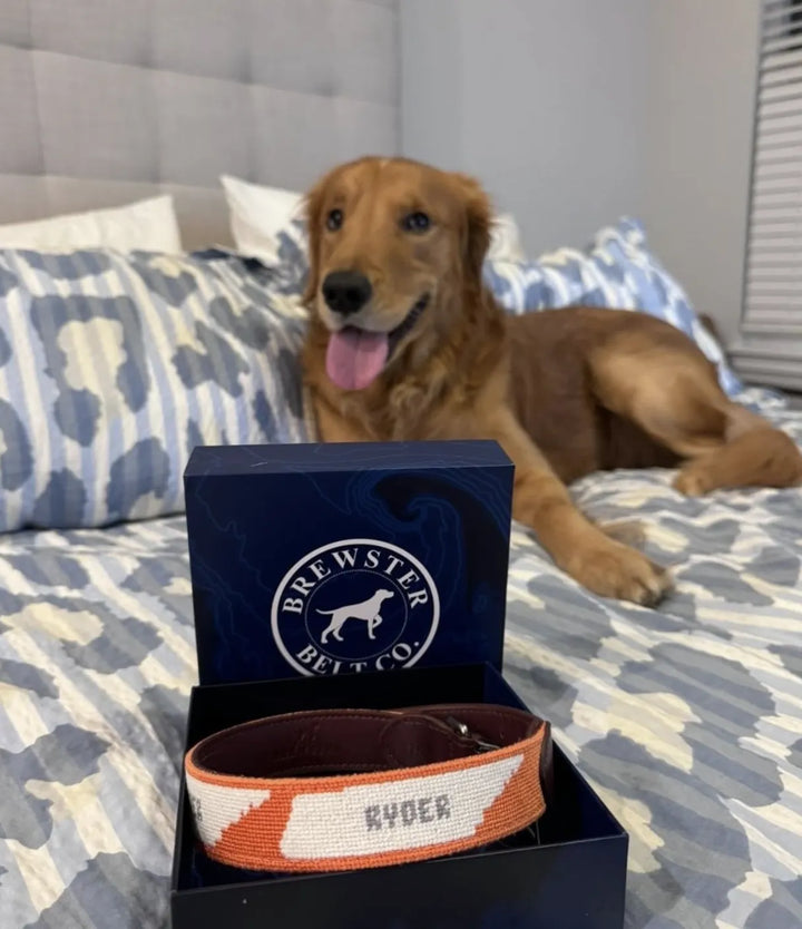 Brewster Custom Needlepoint Dog Collar