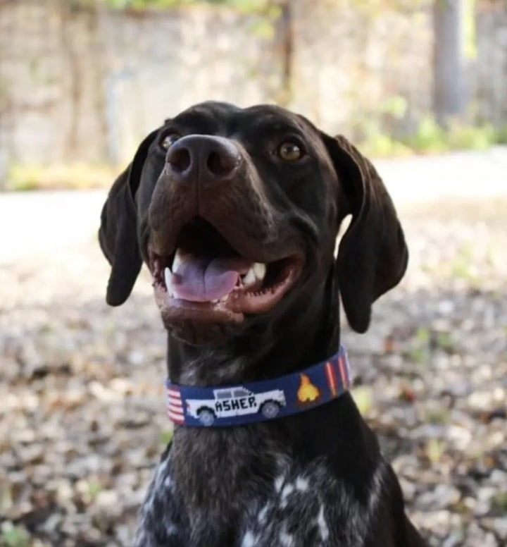 Brewster Custom Needlepoint Dog Collar
