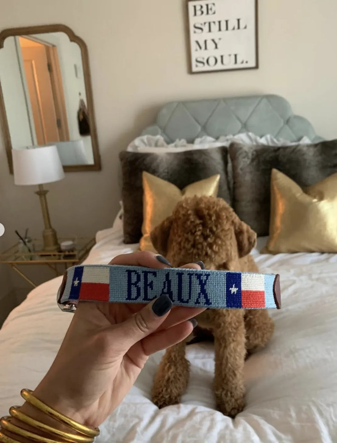 Person holding a dog collar with 'BEAUX' branding in a bedroom setting